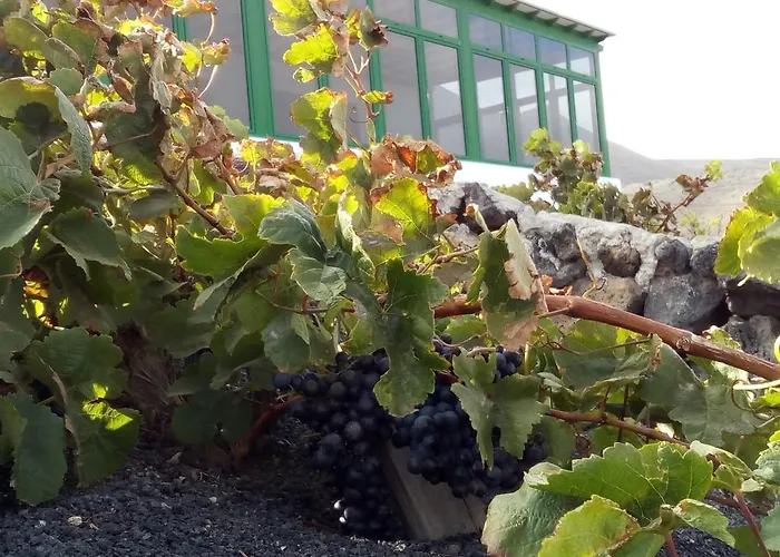 El Cortijo Eco Finca База отдыха *