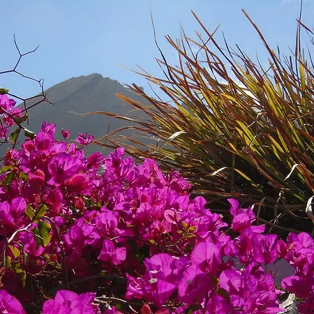 El Cortijo Eco Finca