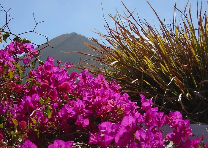 El Cortijo Eco Finca